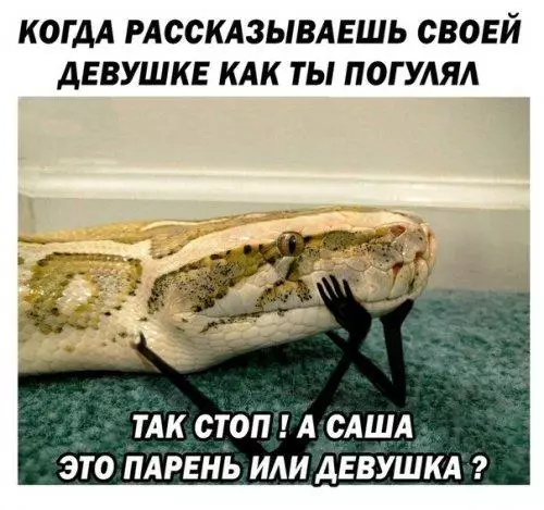 Смешная картинка №195272