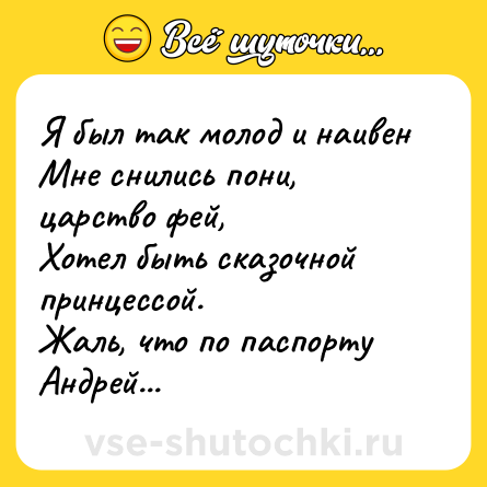 Шутка: Я был так молод и наивен<br>Мне снились пони, царство фей, <br>Хотел быть сказочной принцессой.<br>Жаль, что по паспорту Андрей...