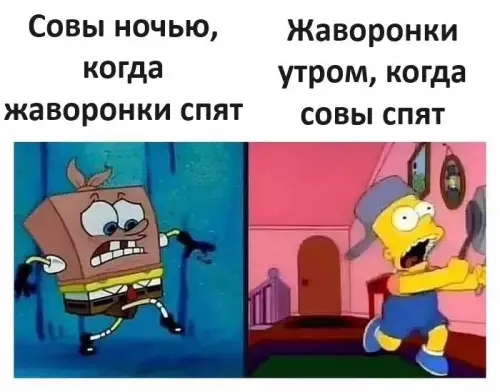 Смешная картинка №732935 Жаворонки и совы