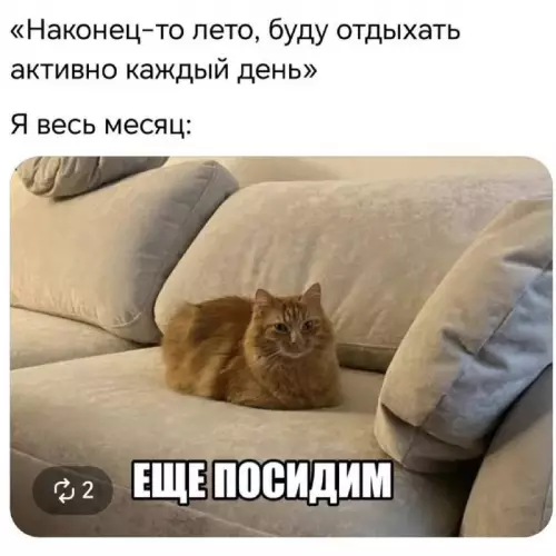 Планы на лето vs Реальность 🤡 - Наконец-то лето, буду отдыхать активно каждый день. Я весь месяц: