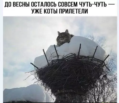 Смешная картинка №804921