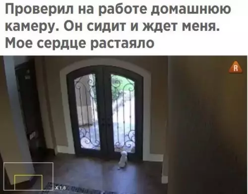 Смешная картинка №234947