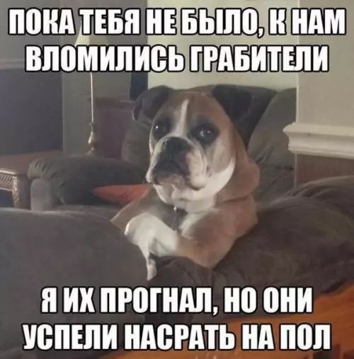 Смешная картинка №199120