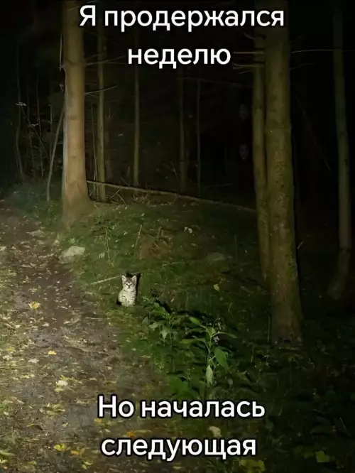 Смешная картинка №777432