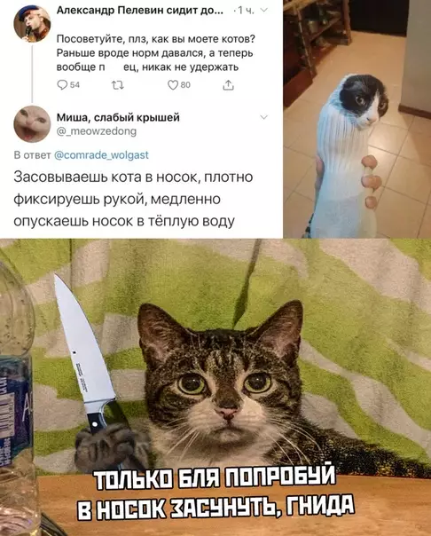 Смешная картинка №486857