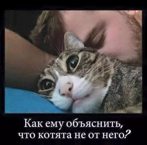 Смешная картинка №219706