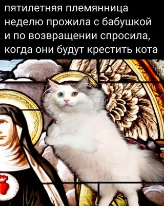 Смешная картинка №668102
