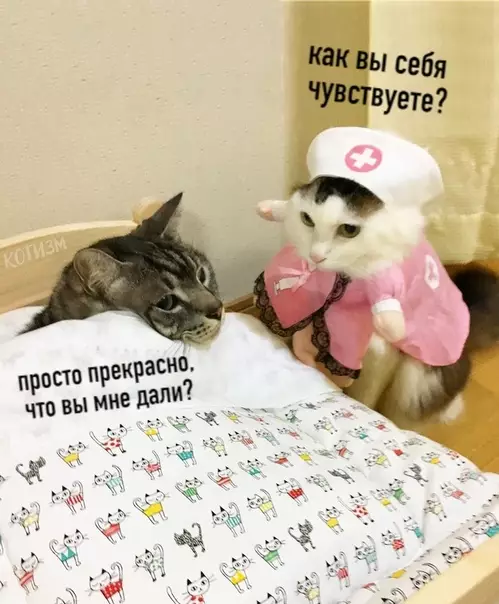 Смешная картинка №508181