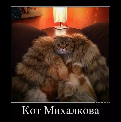 Смешная картинка №302195