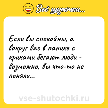 Шутка: Если вы спокойны, а вокруг вас в панике с криками бегают люди - возможно, вы что-то не поняли...