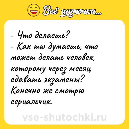 Шутка: - Что делаешь?- Как ты думаешь, что может делать человек, которому через месяц сдавать экзамены? Конечно же смотрю сериальчик.