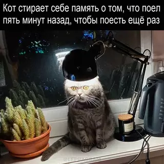 Смешная картинка №663644