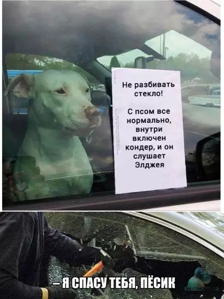 Смешная картинка №422505