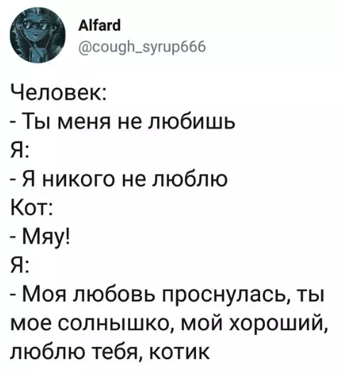 Смешная картинка №281080 кошки