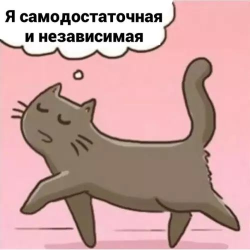 продолжение Смешная картинка №575942 Koтья нeзaвиcимocть Кошки