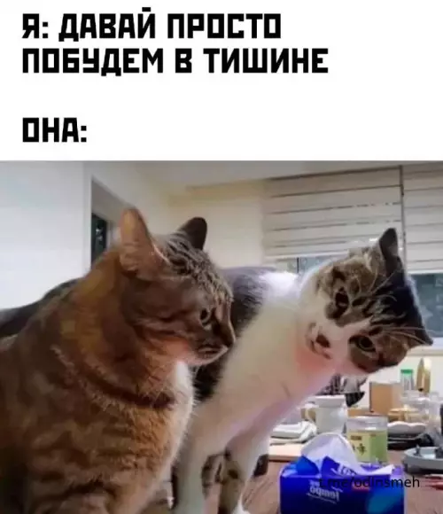 Смешная картинка №665764