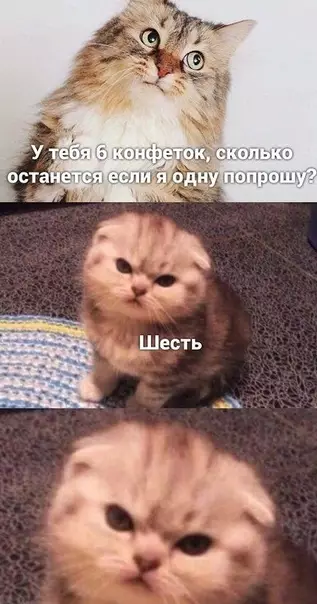 Смешная картинка №512646