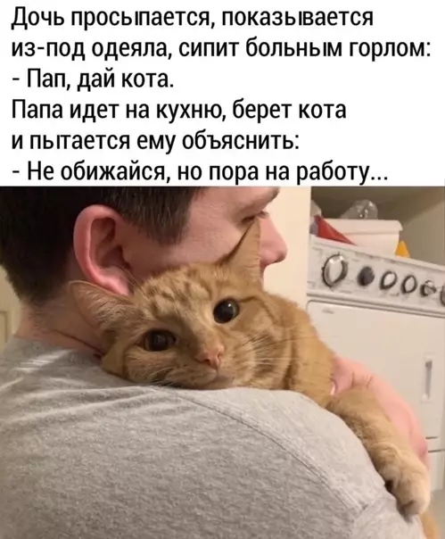 Смешная картинка №542884 У котика своя работа