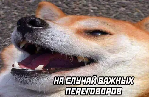 продолжение Смешная картинка №618915