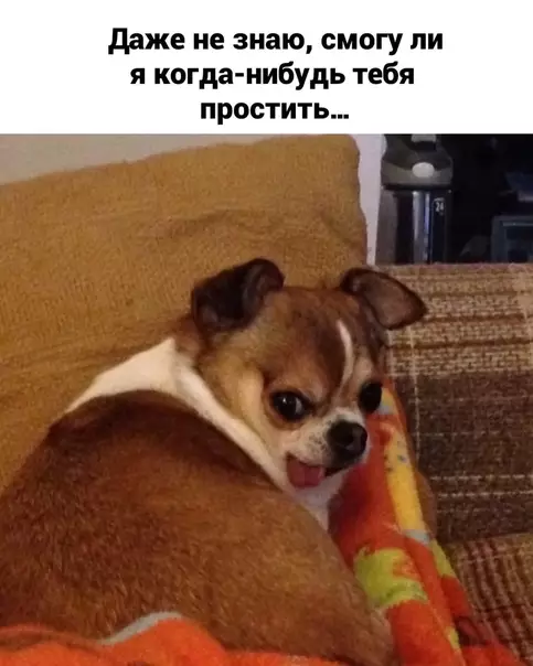 продолжение Смешная картинка №583624