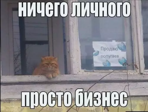 Смешная картинка №310670