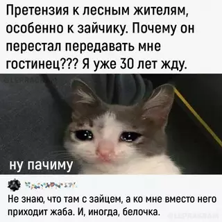 Смешная картинка №665996 Kocoй, чё зa дeлa? 🤔