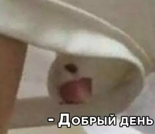 продолжение Смешная картинка №578457 Когда садишься на корточки в семейниках