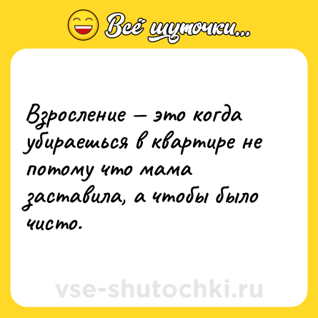 Шутка: Взросление — это когда убираешься в квартире не потому что мама заставила, а чтобы было чисто.