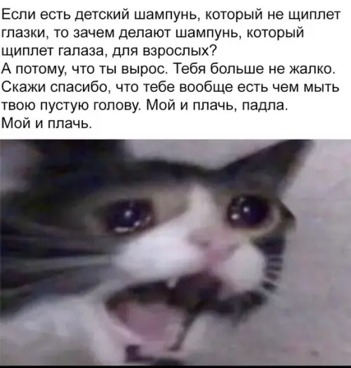 Смешная картинка №318015