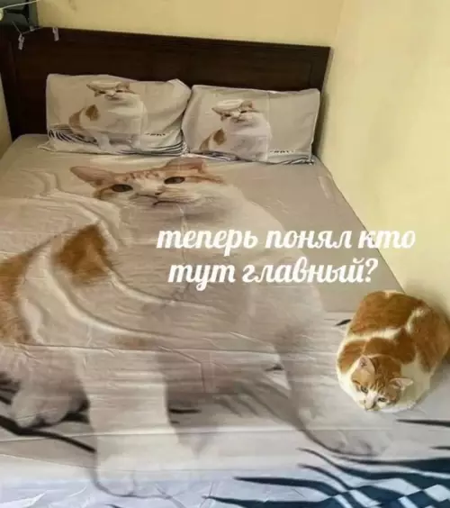 Смешная картинка №657592