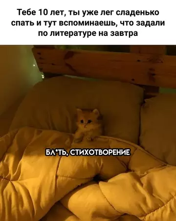 Смешная картинка №753046