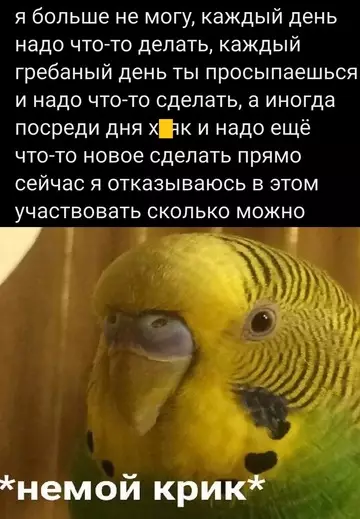 Смешная картинка №753258