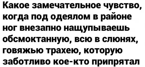 Смешная картинка №600633 Самое "лучшее" чувство на свете? Собаки