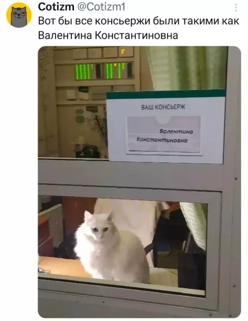 Смешная картинка №796190