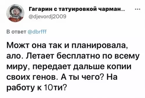 продолжение Смешная картинка №605457