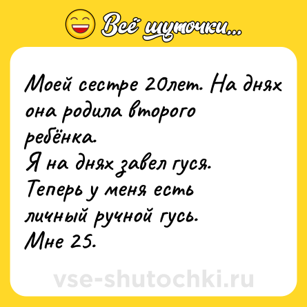 Шутка: Моей сестре 20лет. На днях она родила второго ребёнка.<br>Я на днях завел гуся. Теперь у меня есть личный ручной гусь.<br>Мне 25.