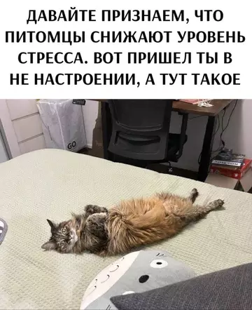 Смешная картинка №736414 Животные