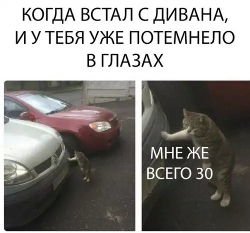 Смешная картинка №274740