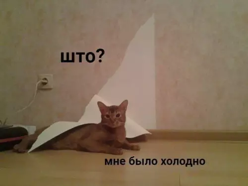 Смешная картинка №672320