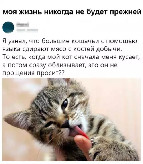 Смешная картинка №382862