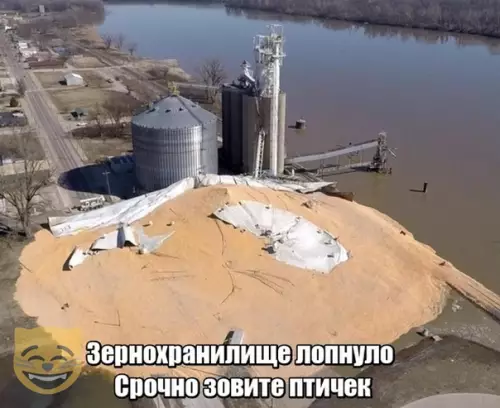 Смешная картинка №341492 #приколы #картинки #мемы ?