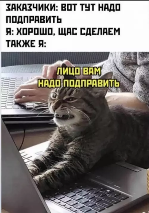 Кот-программист дает советы - ЗАКАЗЧИКИ: ВОТ ТУТ НАДО ПОДПРАВИТЬ Я: ХОРОШО, ЩАС СДЕЛАЕМ ТАКЖЕ