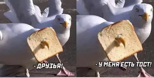 Смешная картинка №669465
