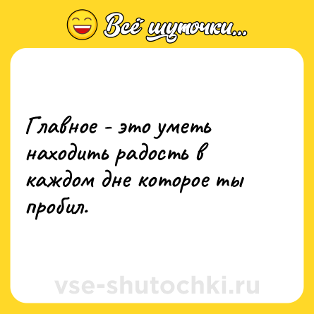 Шутка: Главное - это уметь находить радость в каждом дне которое ты пробил.