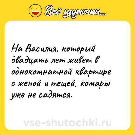 Шутка: На Василия, который двадцать лет живет в однокомнатной квартире с женой и тещей, комары уже не садятся.