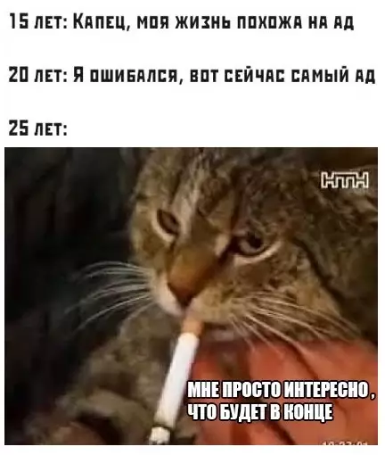 Смешная картинка №454153 Жизненного осознания пост