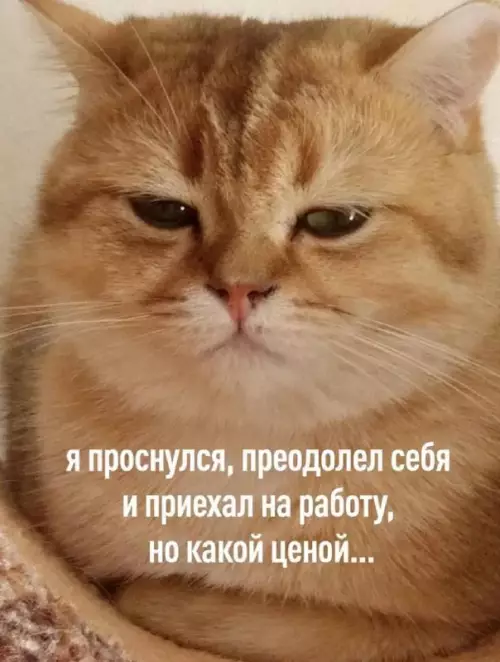 Смешная картинка №686332