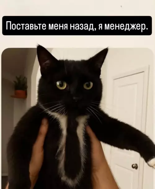 Смешная картинка №787771