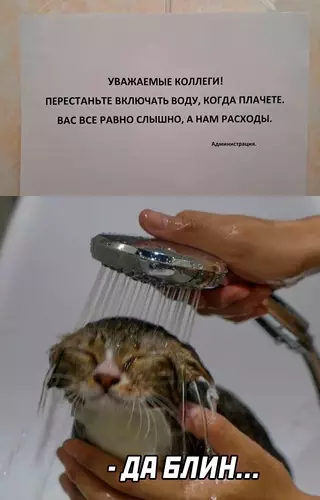 Смешная картинка №685268