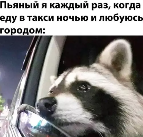 Смешная картинка №553965